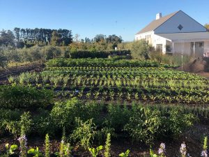 Terra Madre Farm
