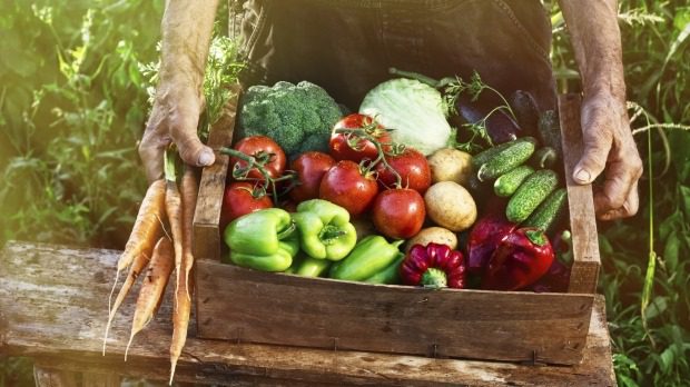 Igadi Market Vegetables